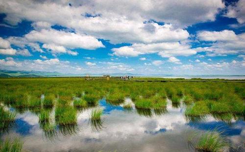 临沧职业学院校花汪清沅