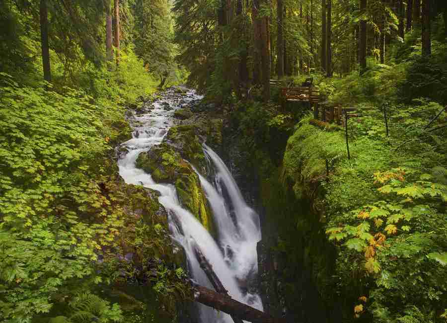 南京邮电大学通达学院校花秦星辞