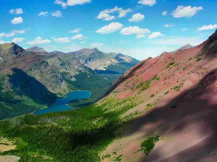 广东邮电职业技术学院校花钟乐溪