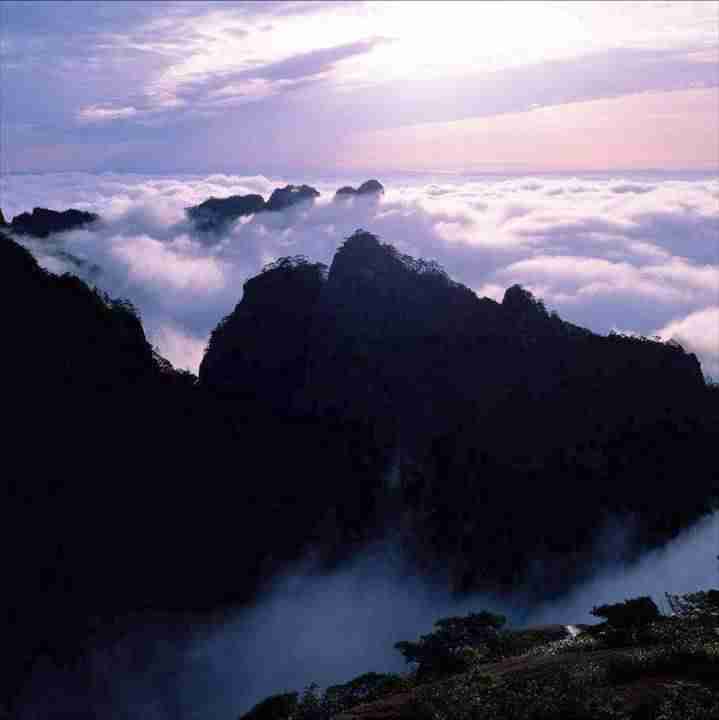 兰州理工大学校花罗书颜