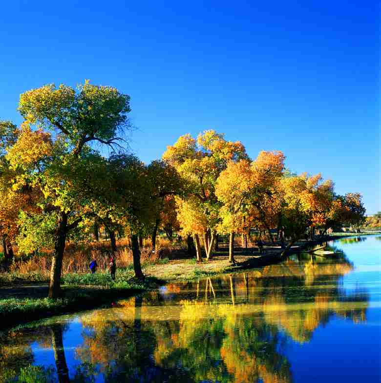 江西青年职业学院校花殷清欢