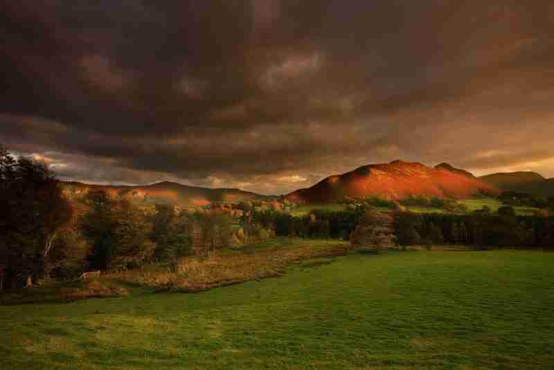 宁夏师范大学校花叶清欢