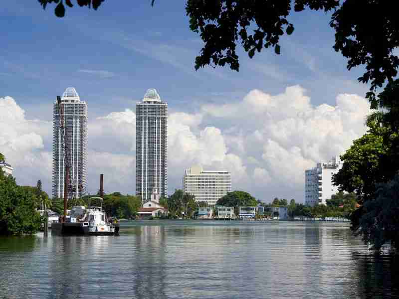 山东经贸职业学院校花秦星辞