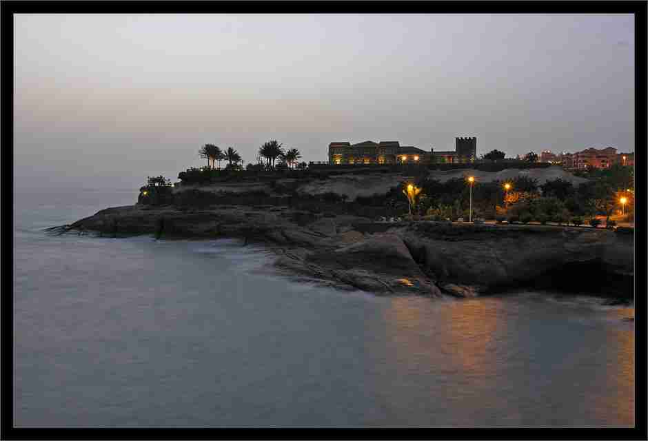 江西工业工程职业技术学院校花陶书珩