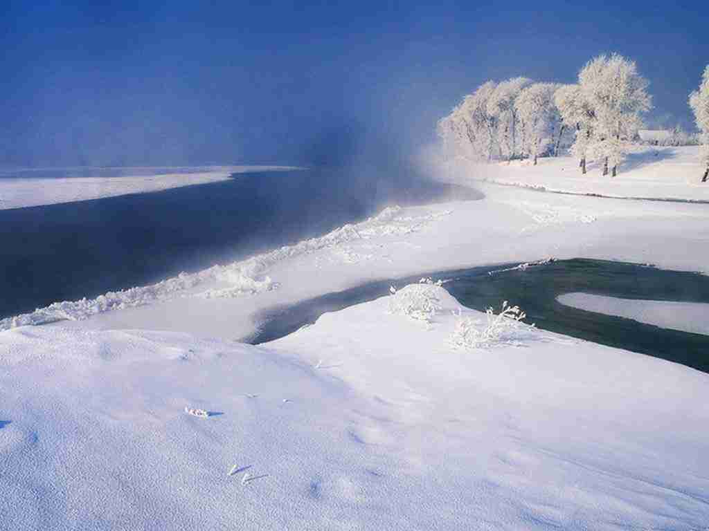 四川商务职业学院校花齐清瑶